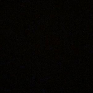 Meet your Posher, Dawson